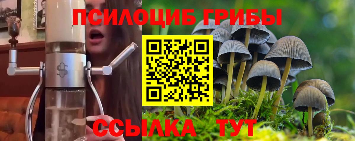 Можайск  Псилоцибиновые грибы Magic Shrooms  Вход с VPN 